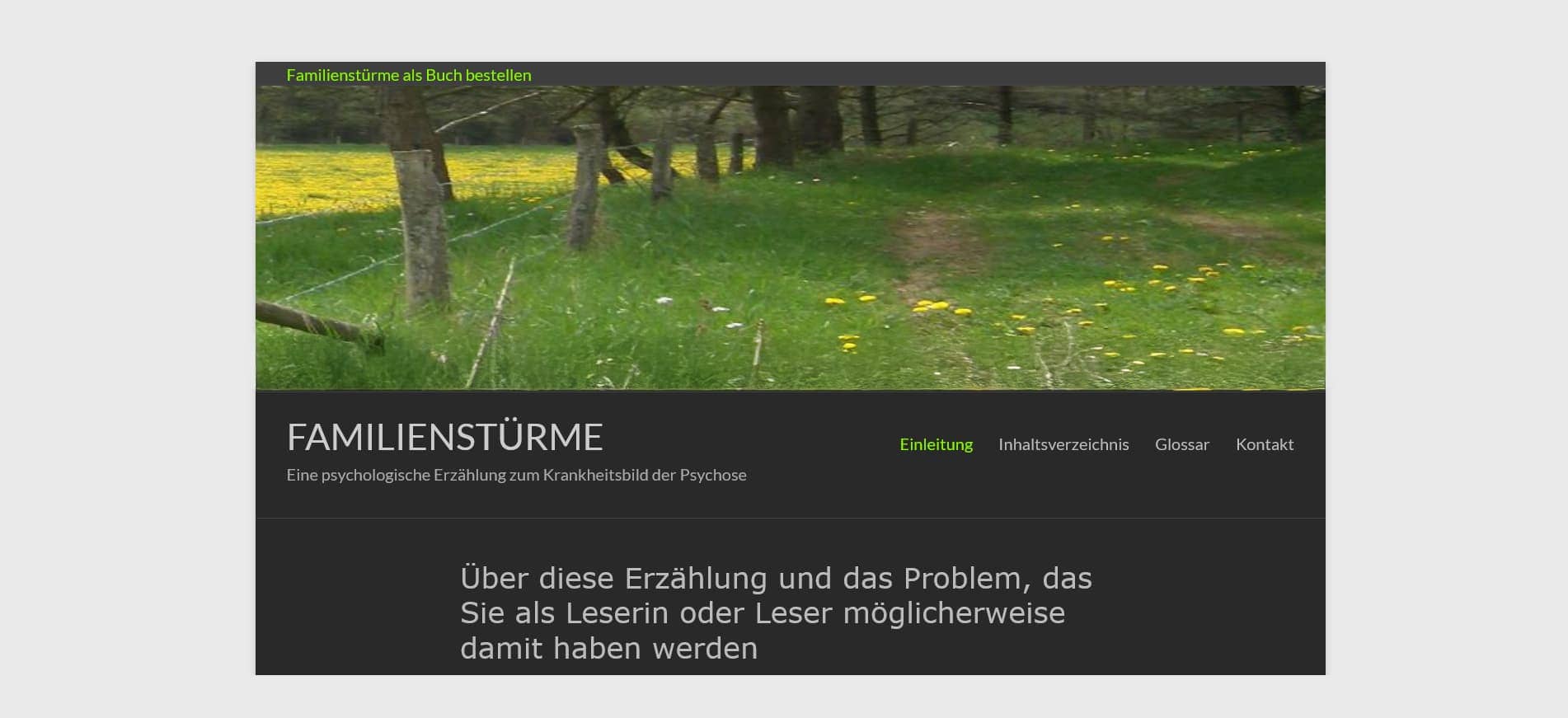FAMILIENSTÜRME – Eine psychologische Erzählung zum Krankheitsbild der Psychose